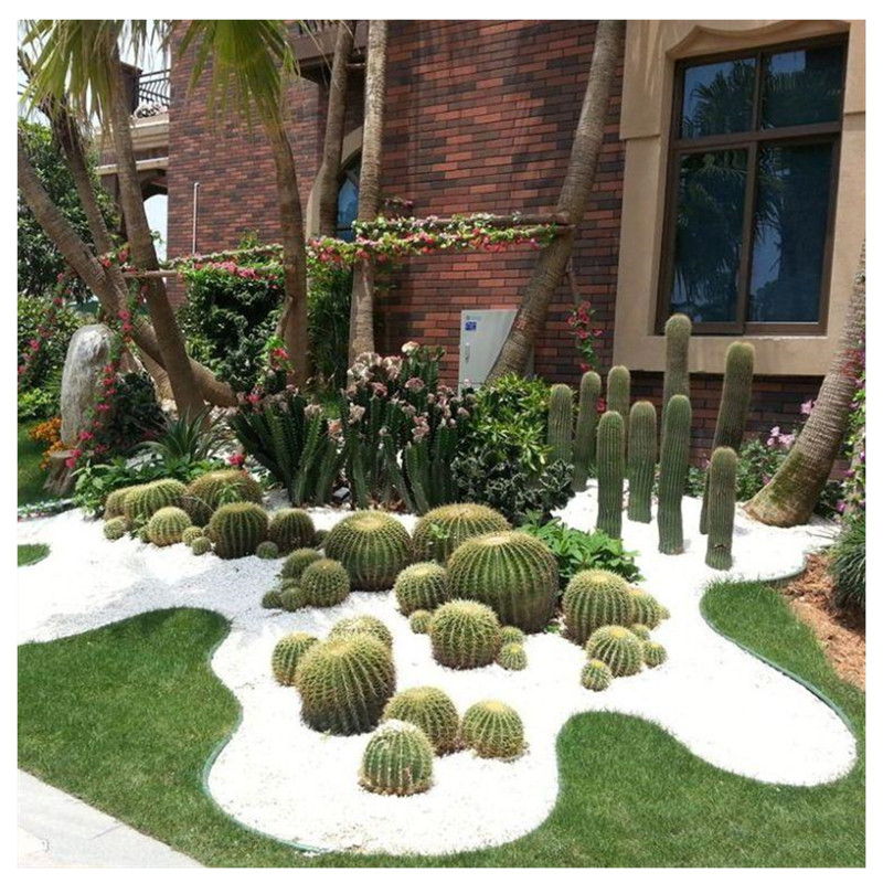 景觀(guān)“草石隔離帶”施工現(xiàn)場(chǎng)